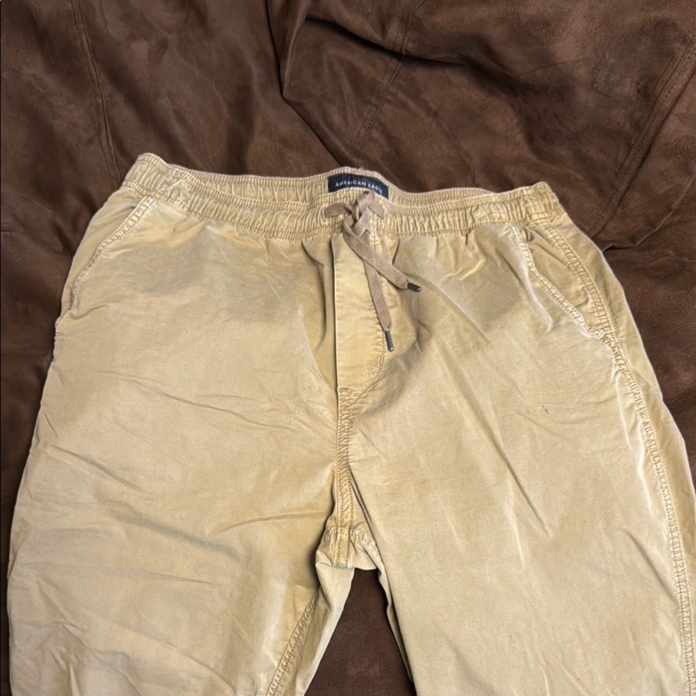 American Eagle Outfitters Tan Sweatpants Relaxed Fit Joggers